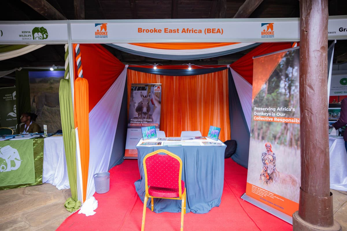 Wide expo floor with multiple brand stands
