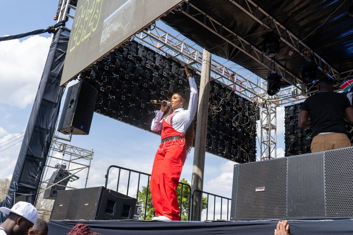 Wide outdoor crowd at brand festival